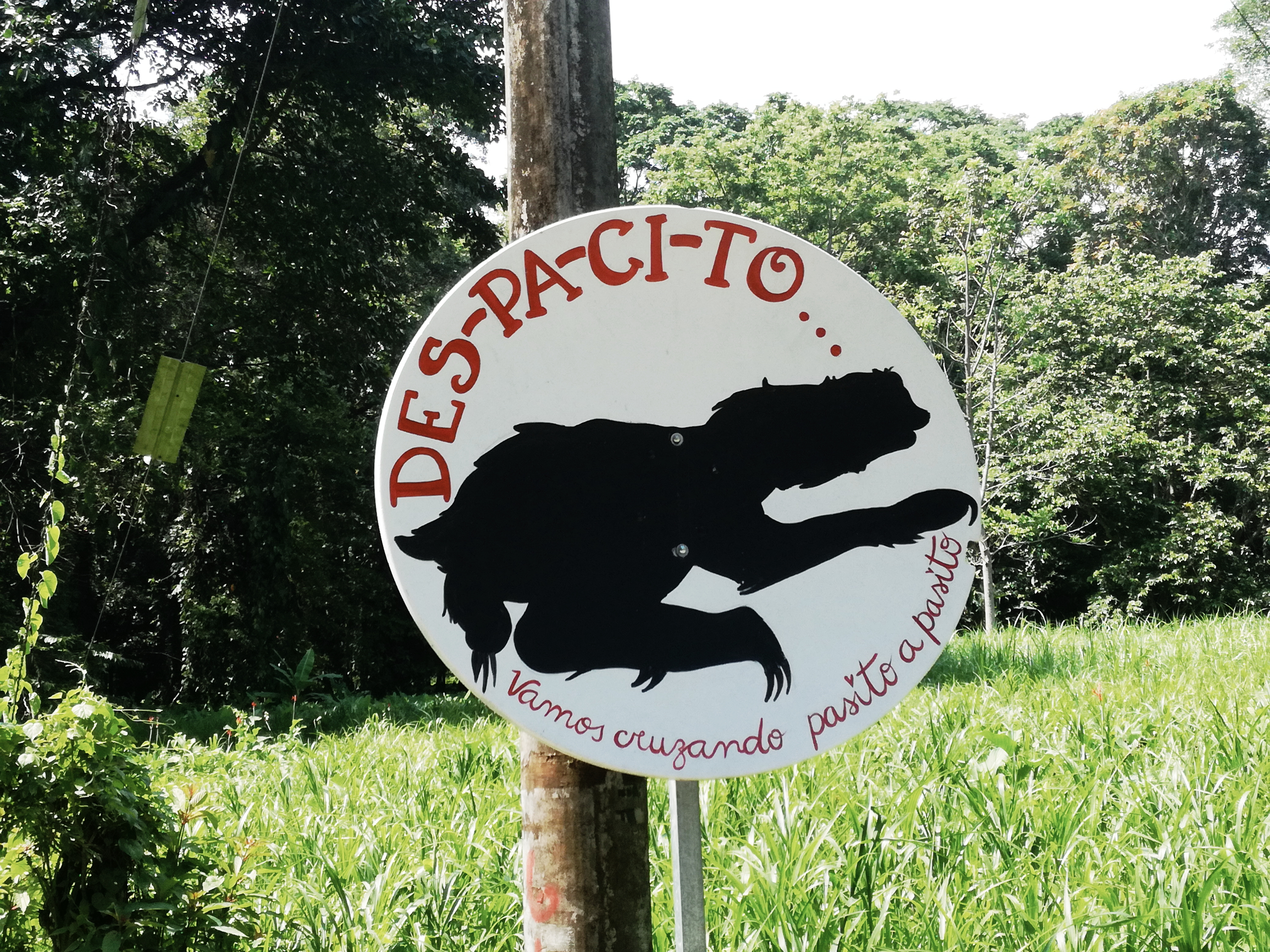 COSTA RICA - PUERTO VIEJO Y PROVINCIA LIMÓN